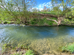 Ein klarer Fluss mit grünem Ufer und Bäumen unter blauem Himmel.