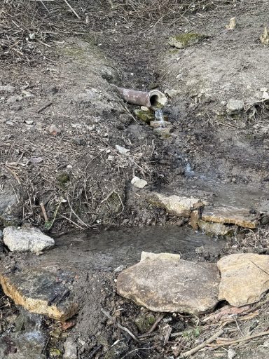 Ein kleiner Wasserlauf fließt über Erde und Baumstämme in einer natürlichen Umgebung.