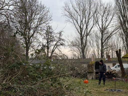 Person im Wald, umgeben von Bäumen und Holz, bei der Gartenarbeit.