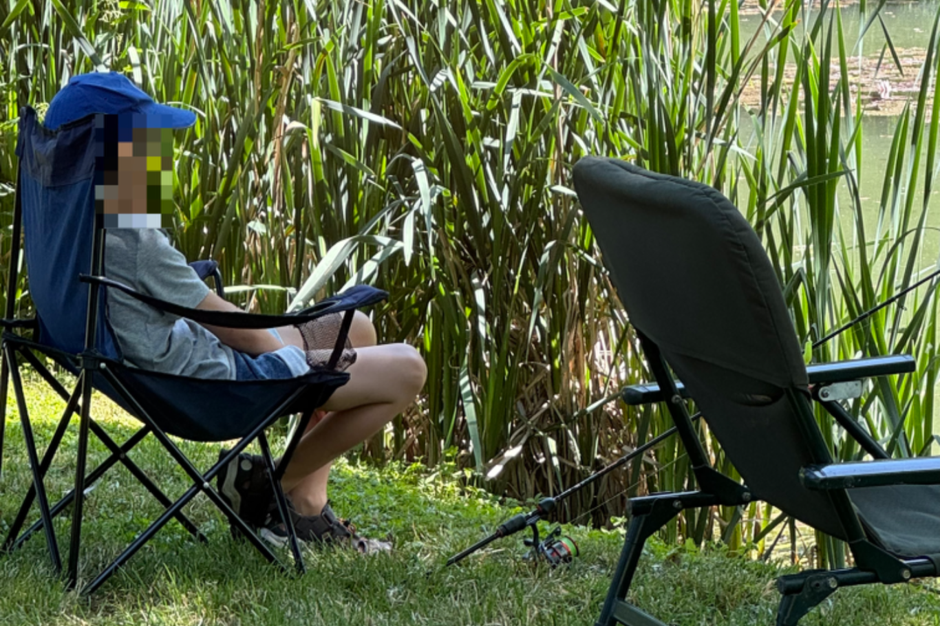 Eine kleine Hütte auf einer Insel in einem ruhigen Teich, umgeben von Schilf.