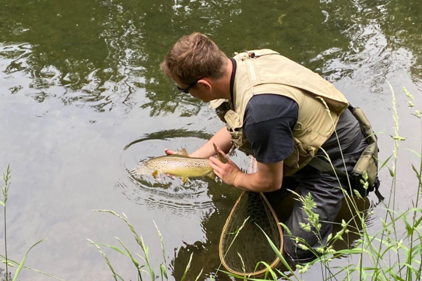 Mann hält einen Fisch im Wasser, umgeben von grüner Ufervegetation.