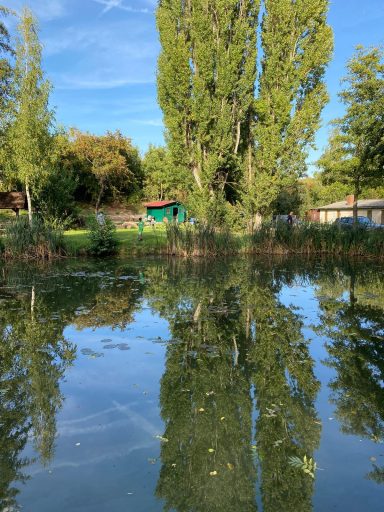 Grüner Garten mit einer Reflexion im ruhigen Wasser eines Teichs und hohen Bäumen.