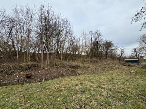 Ruhige Landschaft mit Bäumen, Wiese und einem kleinen Holzhaus im Hintergrund.