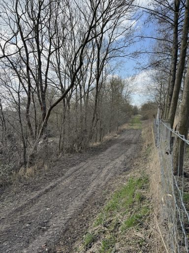 Ein schmaler, erdiger Weg umgeben von Bäumen und Sträuchern unter blauem Himmel.