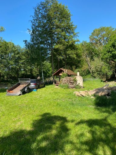 Landschaft mit einem kleinen Haus, grüner Wiese und Bäumen unter blauem Himmel.