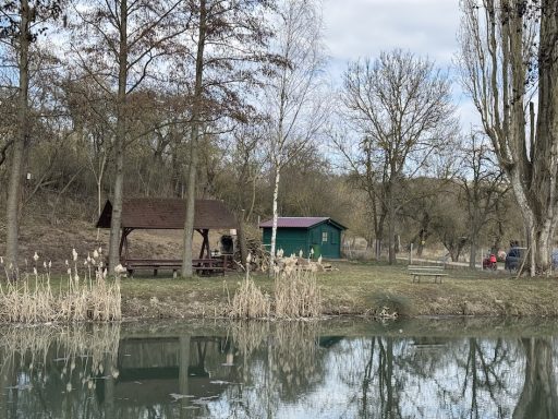 Landschaft mit einem Teich, einem Holzpavillon und Bäumen im Hintergrund.
