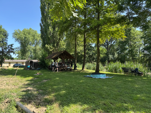 Ein schattiger Picknickplatz am Wasser, umgeben von Bäumen und Grünflächen.
