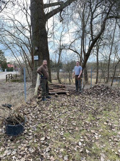 Zwei Männer stehen neben einem Baum und arbeiten im Freien, umgeben von Laub.