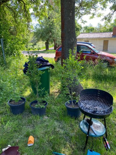 Verschiedene Pflanztöpfe, ein Grill und ein grüner Müllbehälter im Freien.