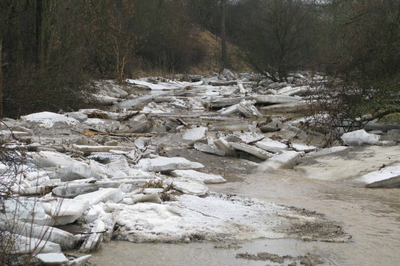 Ein reißender Fluss mit treibenden Eisstücken und einer schneebedeckten Uferlandschaft.