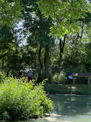 Grüne Wiese mit Bäumen, einem Gewässer und zwei Personen im Hintergrund.