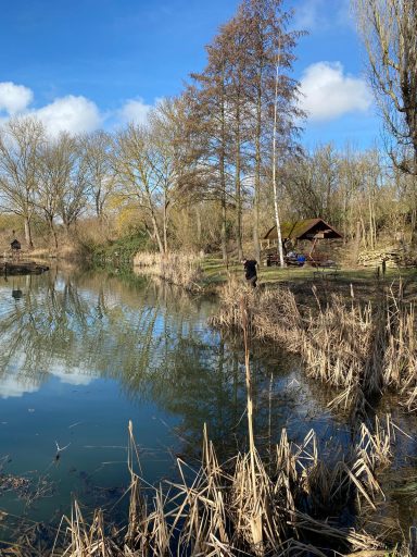 Ein ruhiger Teich umgeben von Bäumen und einem kleinen Holzhaus im Hintergrund.