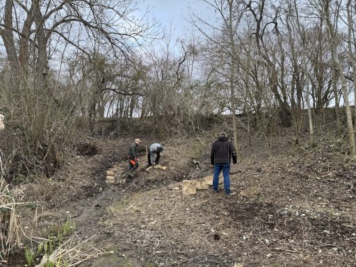 Menschen arbeiten im Wald, fällen Bäume und räumen den Boden auf.