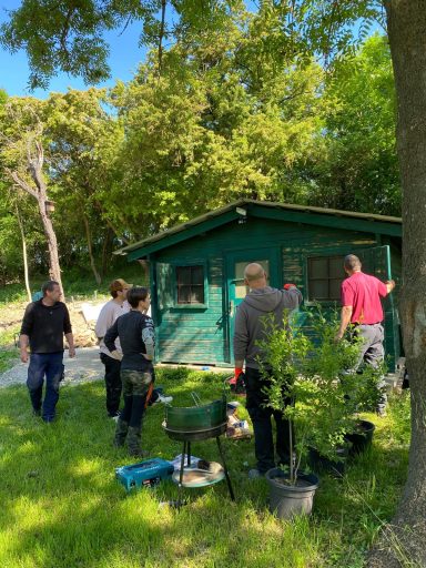 Eine Gruppe von Menschen arbeitet an einem grünen, hölzernen Gartenhaus in der Natur.