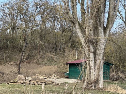 Grünes Häuschen hinter einem Baum, mit Steinen im Vordergrund und bewaldeter Umgebung.