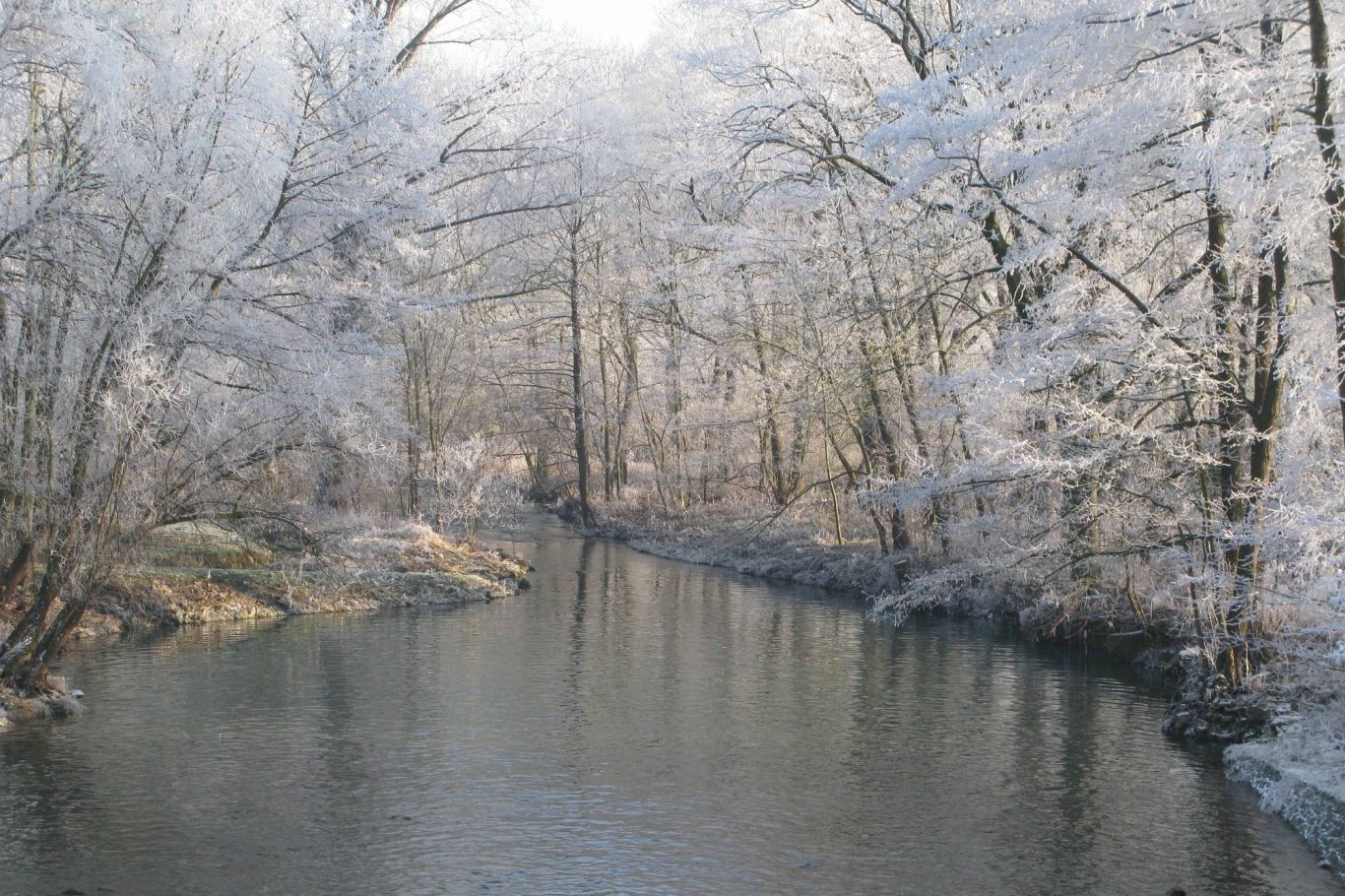 Frostige Bäume am Ufer eines ruhigen Flusses in winterlicher Landschaft.