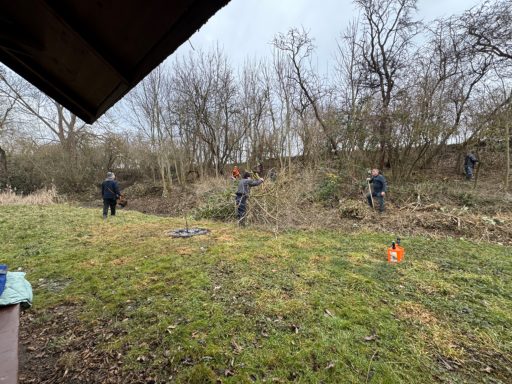 Menschen arbeiten im Freien, schneiden Äste und entfernen Gestrüpp an einem Hang.