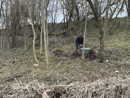Person mit Motorfräse arbeitet an einem bewaldeten Hang.