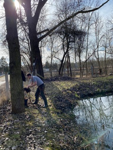 Person mit Hund am Ufer eines ruhigen Gewässers, umgeben von Bäumen und Sonnenlicht.