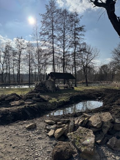 Landschaft mit einem alten Gebäude, Bäumen, einem Teich und Sonnenlicht im Hintergrund.