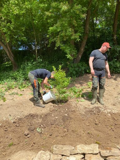 Zwei Männer pflanzen einen Baum und gießen ihn im Freien.