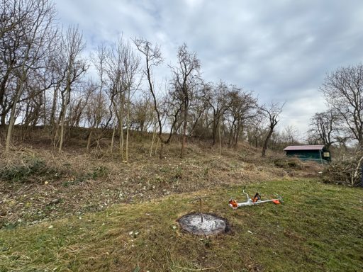Landschaft mit Bäumen, einer Wiese und einem kleinen Gebäude im Hintergrund.