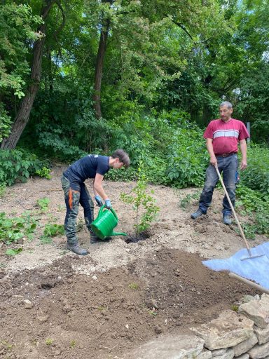 Junger Mensch pflanzt einen Baum, während ein Erwachsener daneben mit einer Schaufel steht.