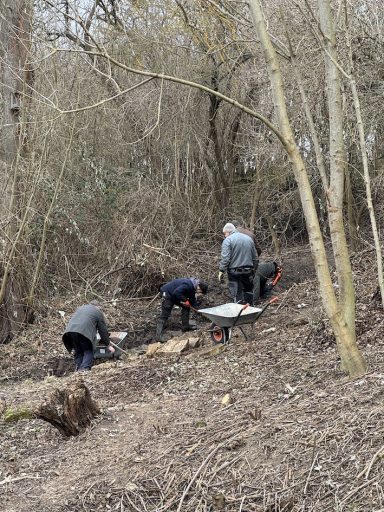 Drei Personen arbeiten im Wald, Holz wird mit Schaufeln und einer Schubkarre bearbeitet.