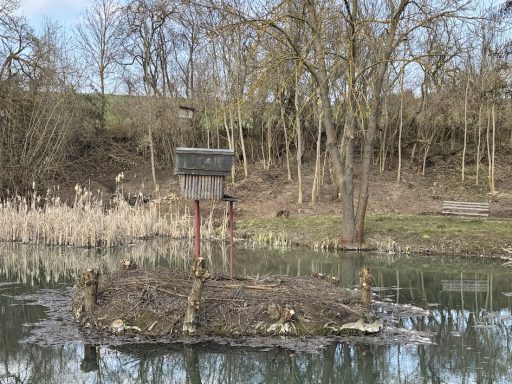 Ein kleiner Steg mit einem Vogelhaus auf einer Wasserfläche, umgeben von Bäumen.